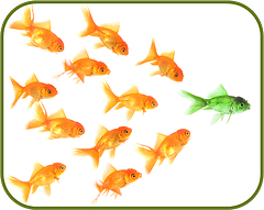 Fish_for_leadership
